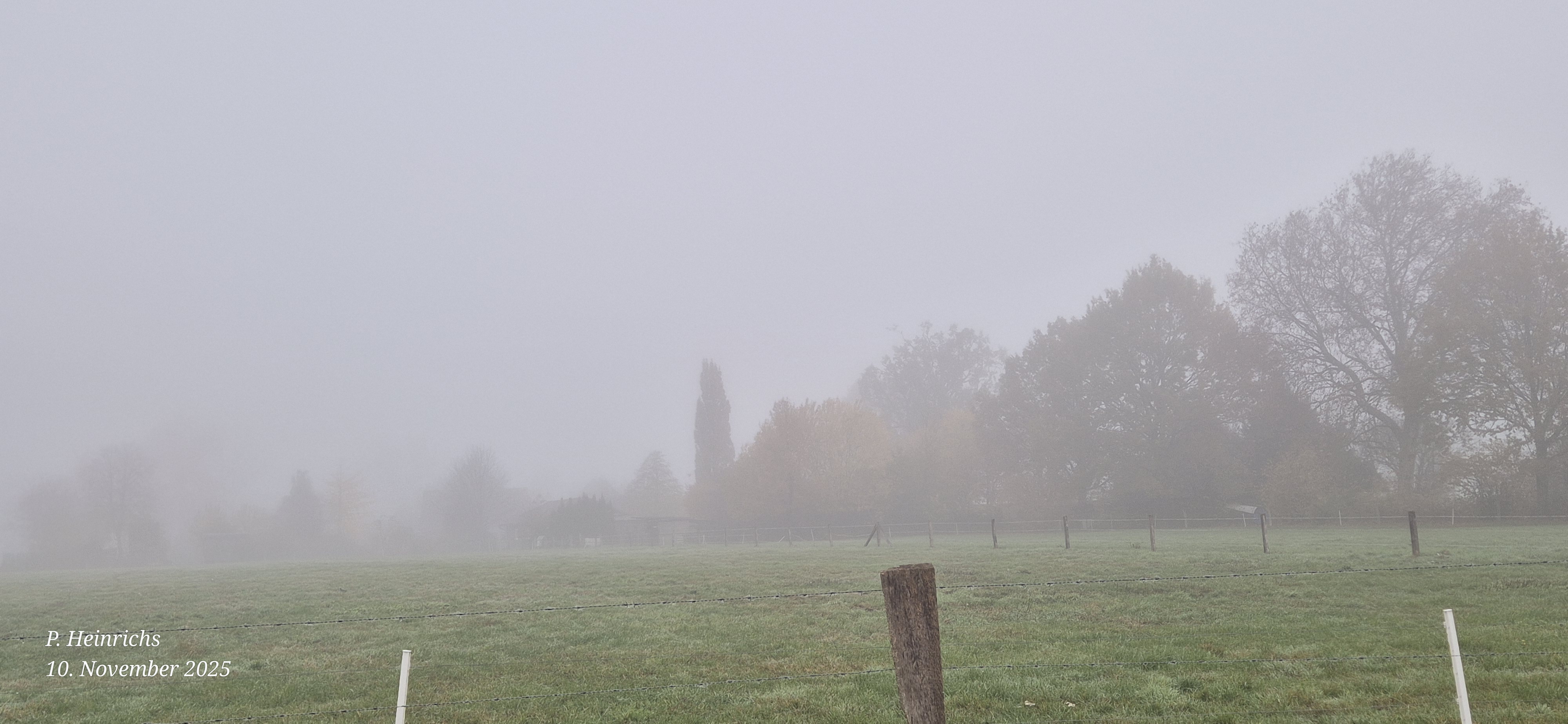 Nebel