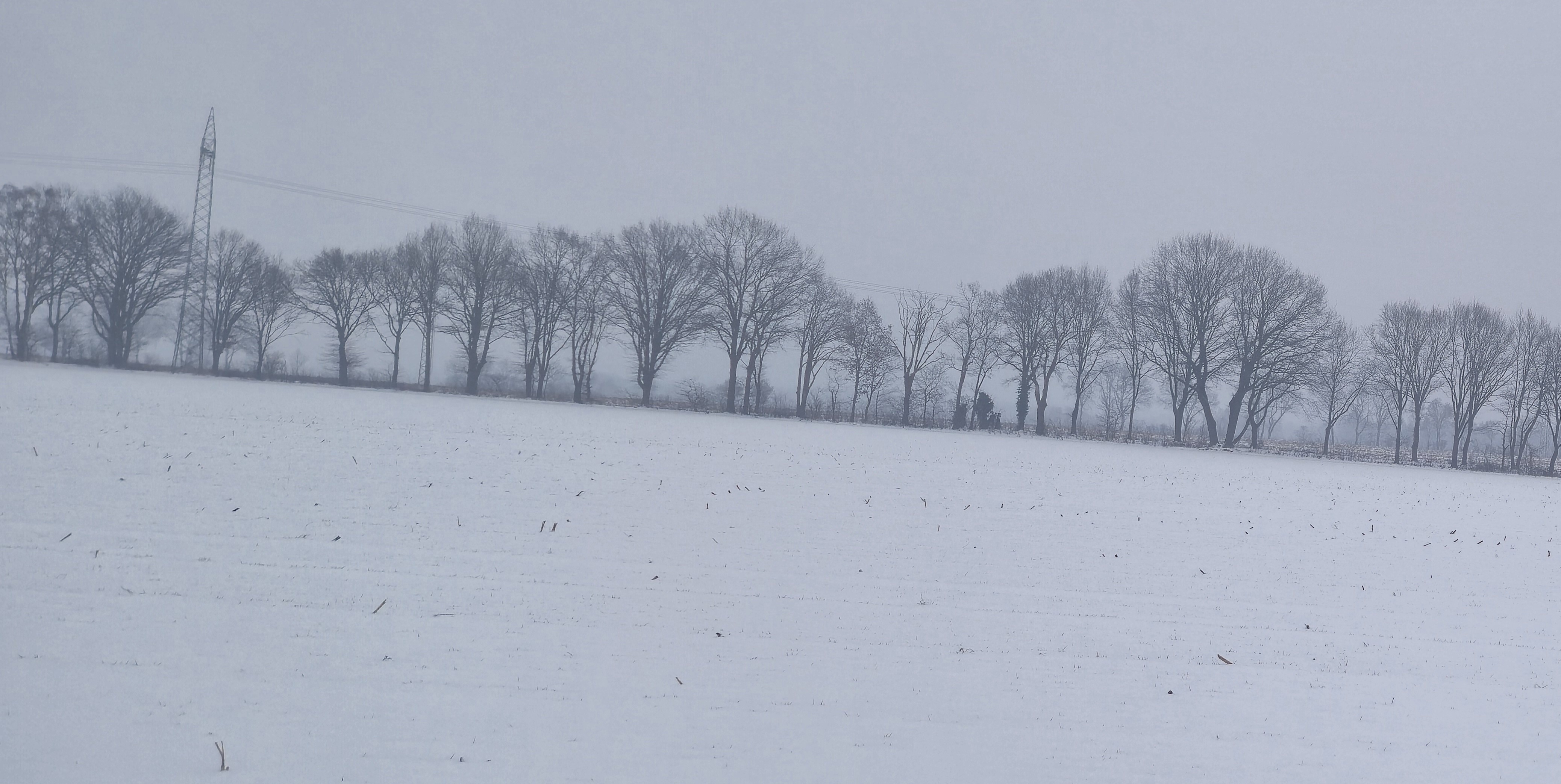Eine insgesamt ruhige Wetterlage - Glätte in der Nacht zum Samstag möglich - Glaskugelwetter