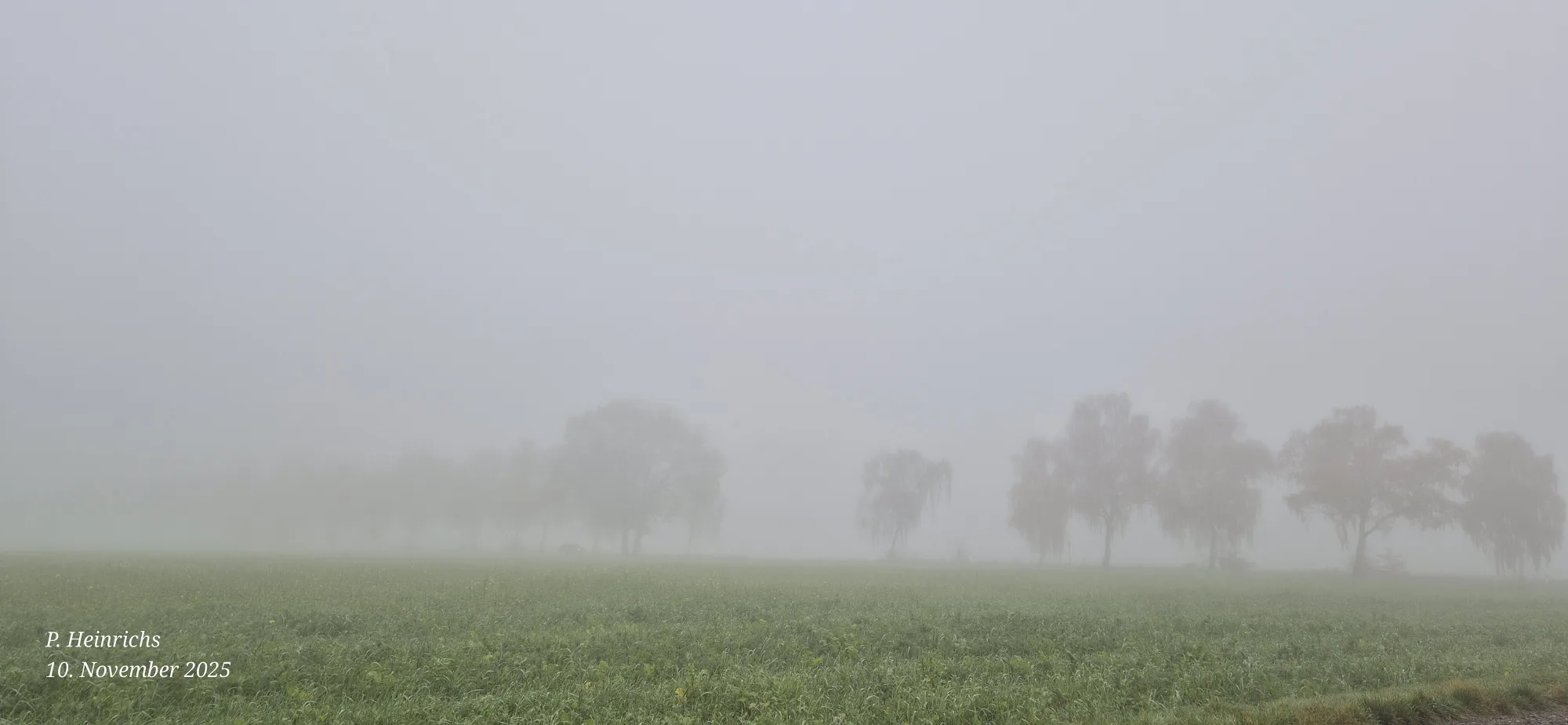 Inversionswetterlage - grau und nebelig
