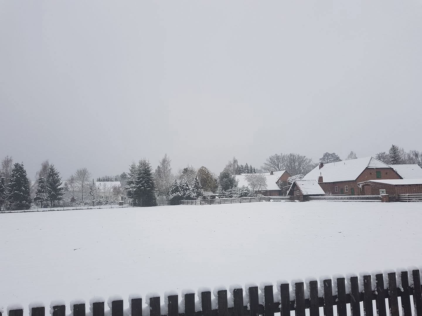 Schnee